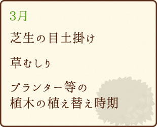 3月芝生の目土掛け、草むしり、プランター等の植木の植え替え時期