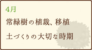 4月常緑樹の植栽・移植、土づくりの大切な時間